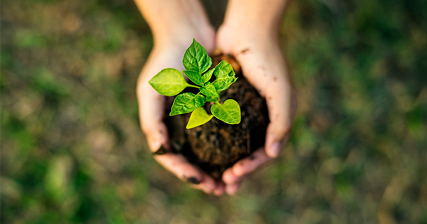 Il progetto Rootstock riceve i fondi dalla Fondazione di Comunità Milano